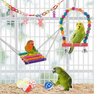 Bird Parakeet Toys