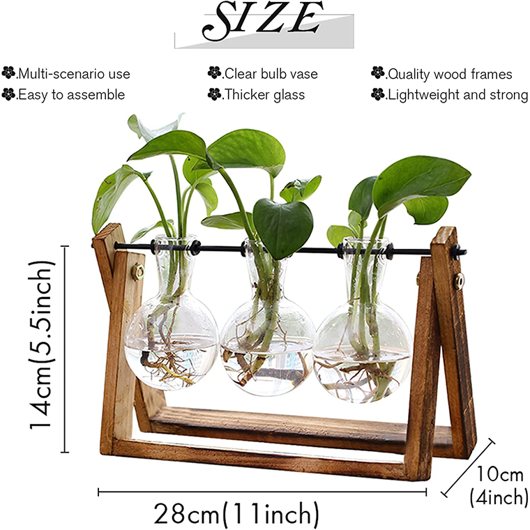 Plant Terrarium - Image 2